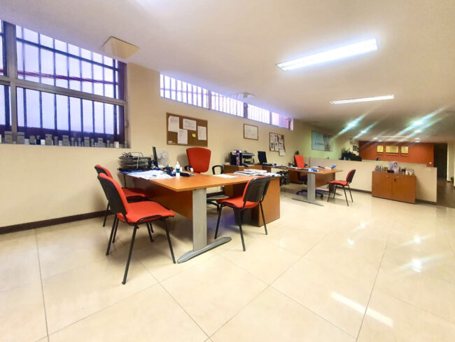 LOCAL COMERCIAL FRENTE A TOME CANO - Imagen 4